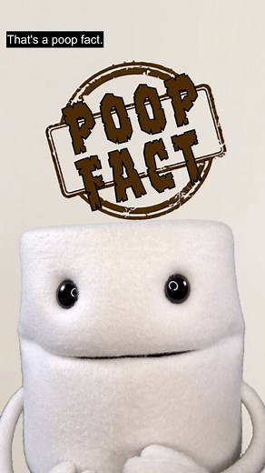1.3M views · 9.7K reactions | Do you know this Poop Fact?  類樂 #poopfact 37 Edited by Stephen Staver | Toiley T. Paper | Facebook