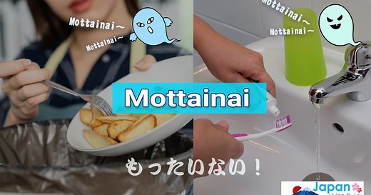 What is Mottainai? The Japanese Meanings and Expressions