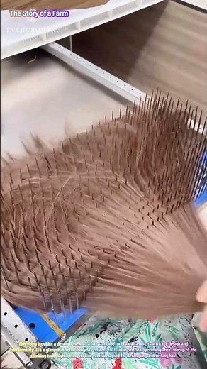 Hair Combing Tool: A Close-Up Look 🪮🪒