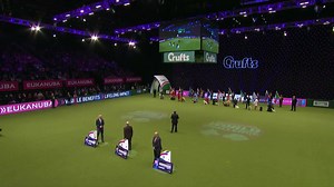 The World's greatest dogs gathered at #Crufts tonight for the Eukanuba World Challenge.....And the winner is.... | Crufts