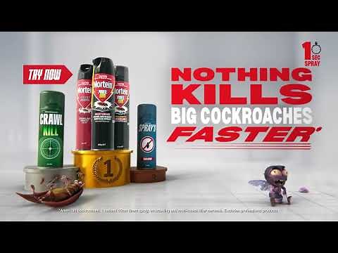 Mortein - Nothing Kills Big Cockroaches Faster