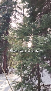 ✨The magic of winter on our National Forests✨ As fresh fallen snow blankets the trees, every trail transforms into a wonderland waiting to be explored. Imagine the crunch of fresh snow underfoot, the crisp air filling your lungs, and the breathtaking views that make every hike feel like a fairytale. What do you love about wintertime on our National Forests? Share in the comments below. | National Forest Foundation