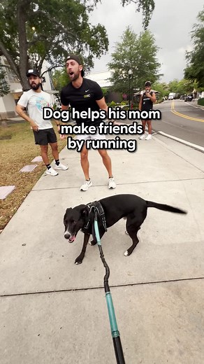 Dog has the happiest reaction when his mom wakes him up for run club 😍 We talked to @Twist & Mav, about how he meets new friends for her!