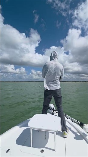 Tarpon migration is in full swing in the Florida Keys! #tarponfishing #fishingvideo