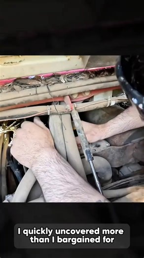 Rescuing a Dead Takeuchi Track Loader from the Weeds - Part 1 #fblifestyle #restoration | CRC Restored