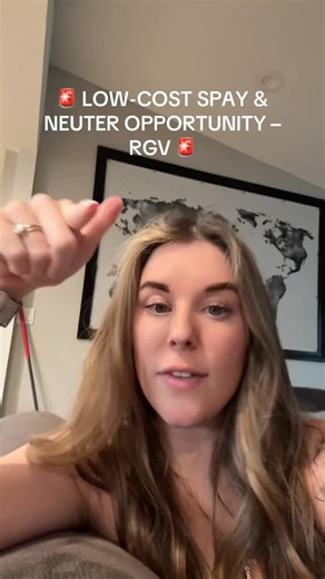 Katey Sanchez on Instagram: "RGV Rescue Connect and Outreach are stepping up to help our low-income community get their dogs AND STRAYS spayed/neutered for ONLY $10 !! This is the heartbreaking reality in the Valley: 1. Stray dogs giving birth in alleys, ditches, and abandoned lots 2. Puppies and dogs getting sick, hit by cars, dumped, abused, or euthanized 3. Dogs starving, suffering, and multiplying with no help We are seeing dozens of puppies born across our communities every week. Overpopula
