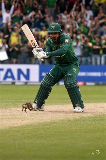 🇵🇰🏏 **Pakistani Cricketer Right Now 😂