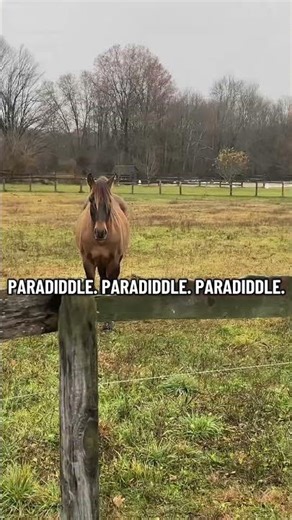 How to play a paradiddle #drumtutorial #learndrums #drumtips