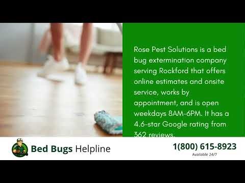 Top 3 Bed Bug Removal Companies in Rockford