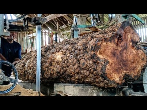 Perfect! A luxurious and some high rare teak sawmill