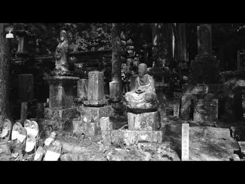 Relaxing nature - Japanese cicadas Sound effect 7 minutes