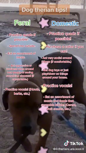 Here’s some dog tips, as requested. #therian #tips #therians #theriantips #therianshift #theriantok #theriotype #dog #dogtherian