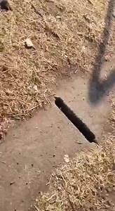 😐 Make your own MEME with MEME Maker App -> https://onelink.to/litml | LIT MEME GUY