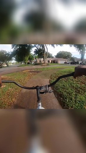 4.2K views · 16 reactions | The speaker highlights the crucial role of citizen auditing. It's everyone's responsibility to ensure government accountability. By staying informed and involved, people can safeguard democracy. #CitizenAuditing #GovernmentAccountability #CivicDuty #Transparency #Democracy | Auditing While Black | Facebook