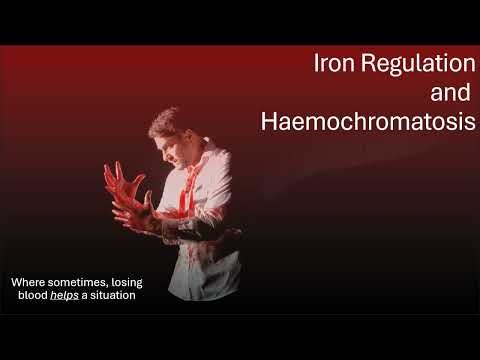 Iron Regulation and Haemochromatosis