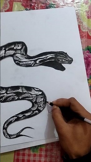 Realistic Python sketch #art #drawing #artist #sketch |How to draw a python
