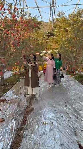 13K views · 57 reactions | Lien La on Reels | Facebook