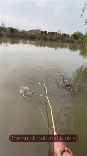 “Peaceful River Fishing – A Man’s Quiet Moment with Nature 🎣”