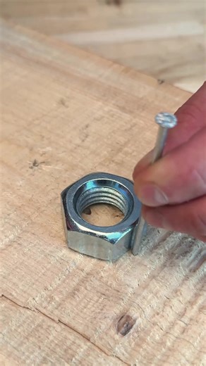 Panda Curioso on Reels