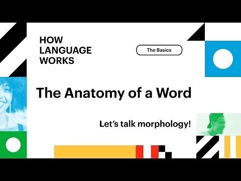 How Morphology Works (The Anatomy of a Word) | How Language Works
