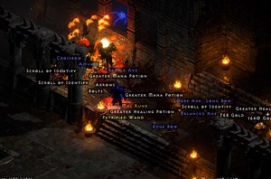 Summon Druid Endgame Guide - Page 10