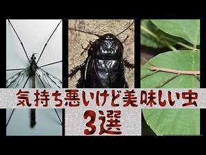 気持ち悪いけど美味しい夏の虫3選