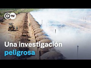 Negocios sucios con la protección del clima | DW Documental