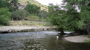 Stanislaus River Parks