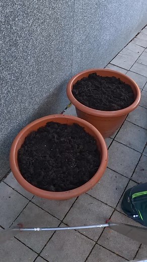 1.3K views · 49 reactions | Creating a beautiful winter planter...