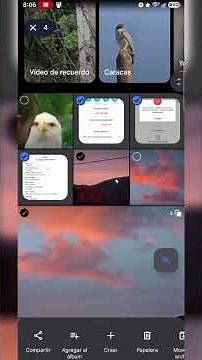 How to Free Up Space in Google Photos