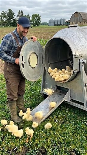 🧸 Cute Mexica Plush Dancing Cactus Electric Plush Toy