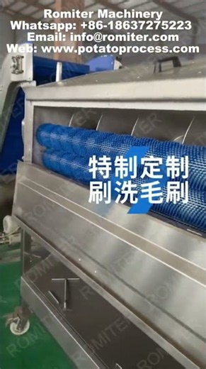 Autoamtic Potato Brush Peeling Machine with Selection Conveyor