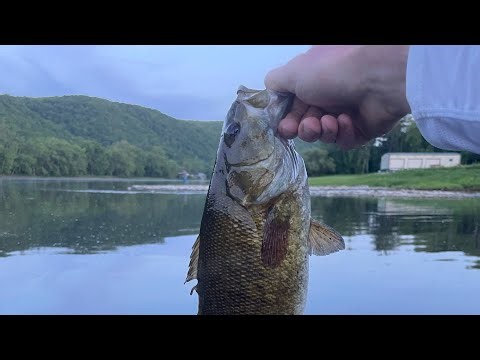 Canoe Bass Fishing on the Allegheny River!!