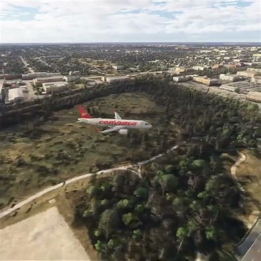 This pilot broke every rule to land safely #simulator #shorts