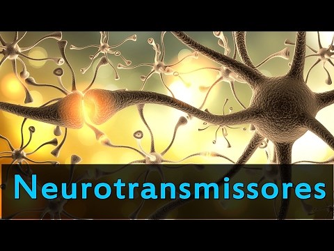 Neurotransmissores e suas Funções