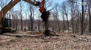 114K views · 391 reactions | Out On A Limb Tree & Land  Working with...