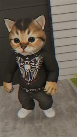 The Most Talented Cats Ever