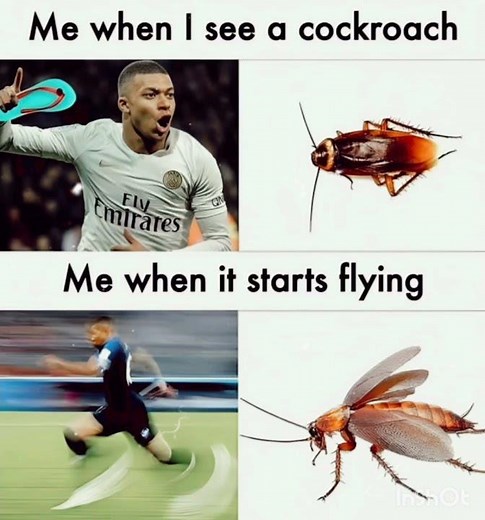 cockroach meme created to #noonecares