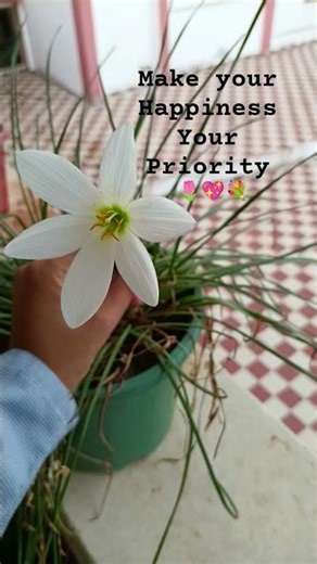 Give yourself first priority 💖#motivationalquotes #youtubeshorts #quotes