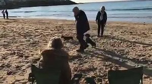 1.3K views · 47 reactions | Wow! Come to Anglesey today - full...