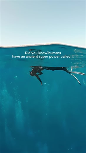 Activate your superpower ⤵️ It’s called the Mammalian Dive Response (MDR) — an ancient survival response EVERY human has. To activate your MDR all you need to do is let water touch your face and hold your breath. The colder the water, the stronger the trigger ❄️ Your body instantly begins to adapt for the water: 💙 Bradycardia – your heart rate slows to conserve oxygen. 🩸 Blood shift – blood moves away from your limbs to protect your brain, lungs, and heart as pressure increases. 🧠 Vasoconstri