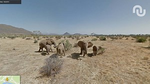 Google Street View se met au safari au Kenya