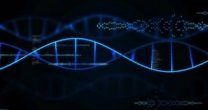 Dna Strand Binary Coding Processing Scientific Stock Footage Video (100% Royalty-free) 3603200461 | Shutterstock
