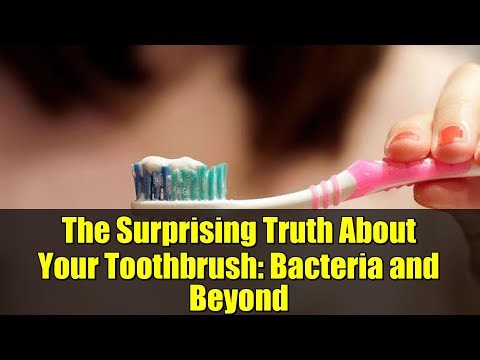 The Surprising Truth About Your Toothbrush: Bacteria and Beyond