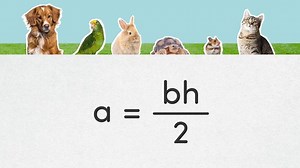 Area of Right Triangles  | sofatutor.com