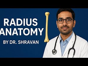 Radius Bone: Features, Parts & Clinical Notes | Dr. Shravan