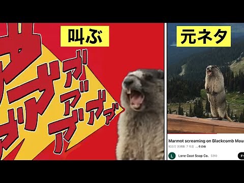 絶叫するビーバーの元ネタについて解説