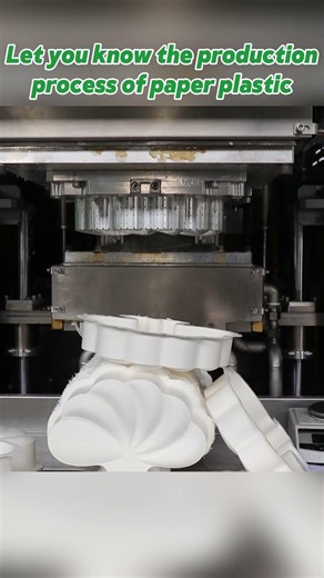 Guess how long it takes for a pulp molding machine to produce one finished product? #machine #shorts
