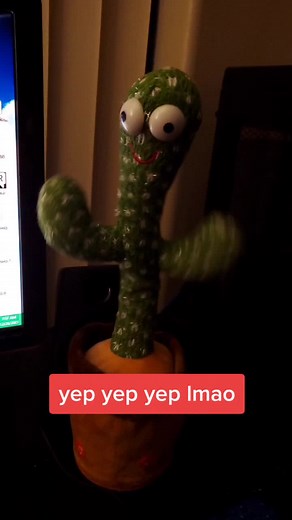 yep #dancing #cactus #yep #funny #lol