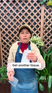 Easiest breeding method #backyardgardening #gardeninglife #vegetablegardening #vegetablegarden #gardeningtips #gardeninglove #organicgardening #gardensofinstagram #gardenideas #urbangardening #gardeningistherapy #gardeninggoals #homegardening #gardeninspiration #lovegardening #gardeningisfun #countrygarden #gardeningmakemehappy #veggiegarden #happygardening | Gardening Ideas